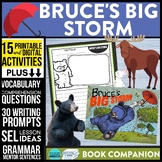 BRUCE'S BIG STORM activities READING COMPREHENSION workshe
