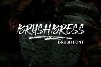 Preview of BRUSHBRESS brush font