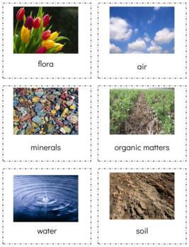 Preview of BT013 (GOOGLE): FLORA|FAUNA cards (pedology - soil science) (5pgs)