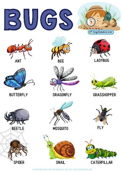 BUG WORDS - VOCABULARY by Gogu Education | TPT