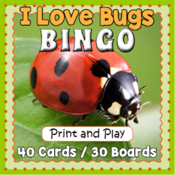 Preview of BUGS AND INSECTS BINGO & Memory Matching Card Game Activity