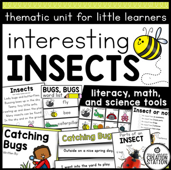 Preview of INSECT AND BUG SCIENCE ACTIVITIES AND LESSON PLANS FOR KINDERGARTEN