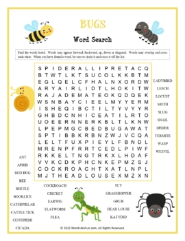 BUGS Word Search Puzzle Handout Fun Activity by Words Are Fun | TpT