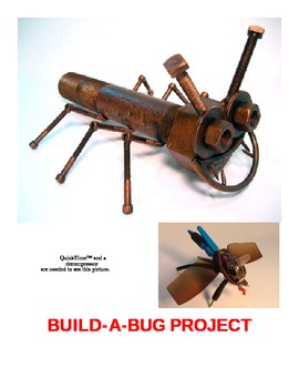Preview of BUILD A BUG PROJECT