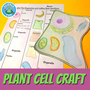 Preview of BUILD A CELL ACTIVITY | Plant | Steam Craft l Activity| Interactive Worksheets