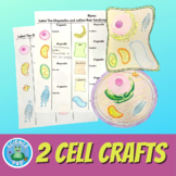 BUILD A CELL Craft | Plant and Animal Craft | Science Guid