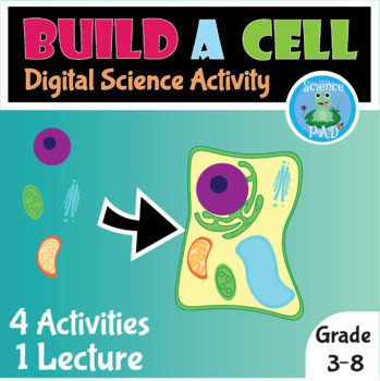 Preview of BUILD A PLANT CELL  | ORGANELLES | BIOLOGY | Digital activity | Lesson Plan