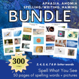 BUNDLE: 3, 4, 5, 6, & 7/8 Letter Word Spell What You See f