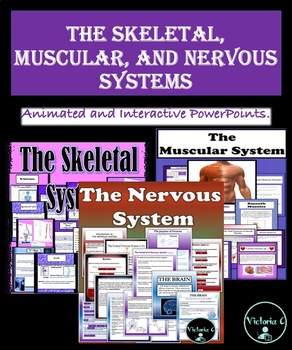 Preview of BUNDLE 3 POWERPOINTS SKELETAL, MUSCULAR, AND NERVOUS SYSTEMS