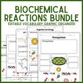 BUNDLE | 5 Biochemical Reactions Unit Vocabulary Graphic O