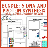BUNDLE | 5 DNA & Protein Synthesis Unit Vocabulary Graphic
