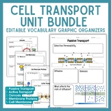 BUNDLE | 5 Cell Transport Vocabulary Graphic Organizers | 