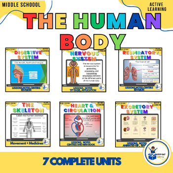 Preview of 7th grade Human body system  end of year review: digital games/ worksheets.