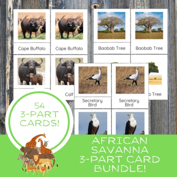 Preview of BUNDLE African Savanna Grassland Habitat Animals Birds 3-Part Cards PLUS BONUS