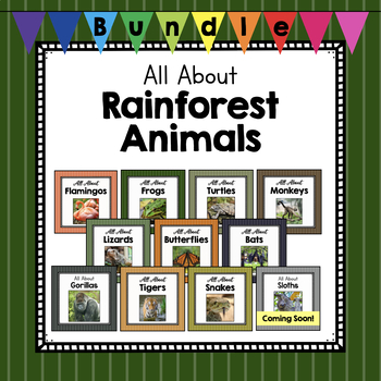 Preview of BUNDLE: All About Rainforest Animals | Animal Science