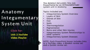 Preview of BUNDLE: Anatomy Integumentary System Unit (ten important topics in PPT)