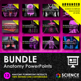 Anatomy PPT Bundle  - Advanced Level With Student Summary Notes