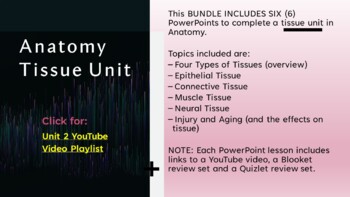 Preview of BUNDLE: Anatomy Tissue Unit (six important topics in PPT)