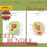 BUNDLE - Animal & Plant Cell Diagram and Differentiated Wo