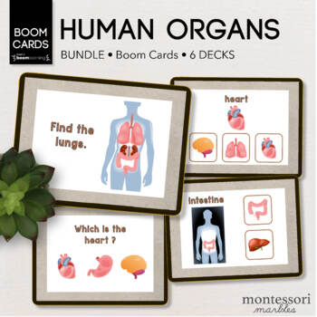 Preview of BUNDLE BOOM CARDS™ Human Body Preschool | Montessori Online Learning