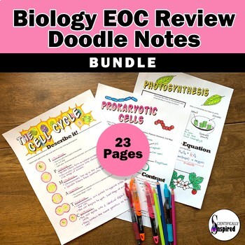Preview of BUNDLE: Biology EOC End of the Year Doodle Notes Final Review Activity