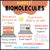 BUNDLE! Biomolecules: Theory lesson + Project Work (Slides