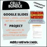 BUNDLE- CELLS: Google slides, activities, project and rubrics!
