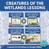 LESSON BUNDLE Creatures of the Wetlands: Producers, Consum