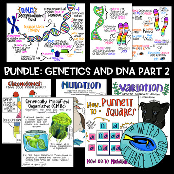Preview of BUNDLE: DNA and Genetics Part TWO: SCIENCE SCAFFOLDED NOTES/ ANCHOR CHARTS