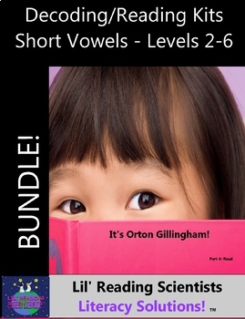 Preview of BUNDLE - Decodable Stories, Sentences, and Word Cards (Short Vowels) (OG)