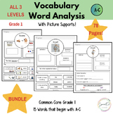 Vocab Graphic Organizers and Word Mapping - BUNDLE (SPED/E