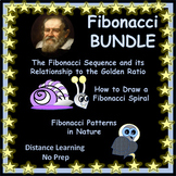 BUNDLE: Draw the Fibonacci Spiral, Fibonacci  in Nature, G