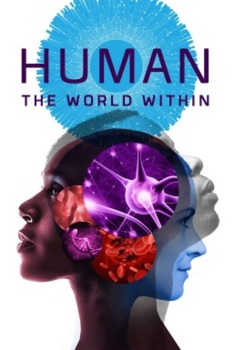 Preview of BUNDLE ---> Human: The World Within (Season 1 - 6 Episodes) ---> PBS / Netflix