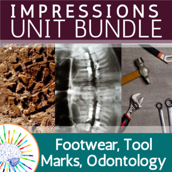 Preview of BUNDLE Impressions Unit: Tool Marks, Footwear, Bite Marks