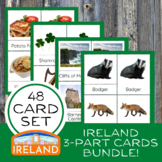 BUNDLE: Ireland 3-Part Cards 4 Sets Montessori Geography C