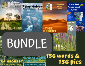 Preview of BUNDLE Large Habitat Vivid Vocab Picture Cards 312 Cards
