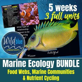 Preview of Marine Ecology | 3 unit BUNDLE | Food Webs | Communities | Nutrient Cycling