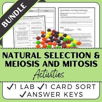 Preview of Natural Selection Lab & Mitosis and Meiosis Card Sort Bundle