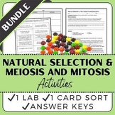 Natural Selection Lab & Mitosis and Meiosis Card Sort Bundle