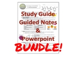 BUNDLE One Page Wonder – DELUXE BUNDLE – Guides and Powerpoints