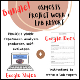 BUNDLE: Osmosis Project Work + Structure of a lab report