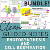 BUNDLE Photosynthesis & Cell Respiration: Doodle Notes & S