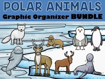 Preview of BUNDLE : Polar and Arctic Animals Graphic Organizers - 11 in All