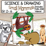 4 Small Mammals Directed Drawing | Habitat | How to Draw A