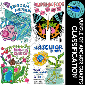 Preview of BUNDLE: SCAFFOLDED NOTE/ ANCHOR CHART Science Classification of Living things/