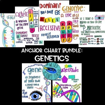 Preview of BUNDLE SCIENCE SCAFFOLDED NOTES ANCHOR CHARTS DNA AND GENETICS 26 Charts