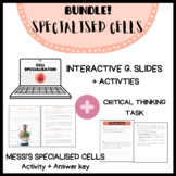 BUNDLE- SPECIALIZED CELLS: G. Slides + Revision activity +