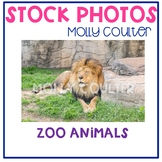 Stock Photo: Zoo Animals -Personal & Commercial Use