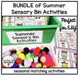 BUNDLE Summer Sensory Bin Matching Vocabulary Activities