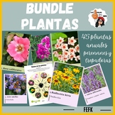 BUNDLE - Tarjetas de diversas plantas para reconocer y memorizar
